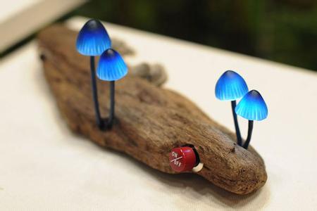 LED带来巨大商机 倾听消费者的需求